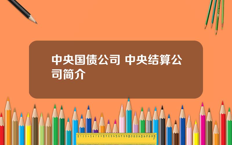 中央国债公司 中央结算公司简介